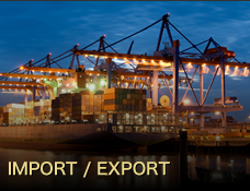 IMPORT / EXPORT