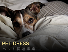 PET DRESS